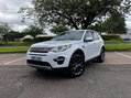 Land Rover Discovery Sport 2.2 Discovery Sport HSE SD4 Auto 4WD 5dr 25