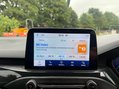 Ford Focus 2.0 Focus ST EcoBlue 5dr 49