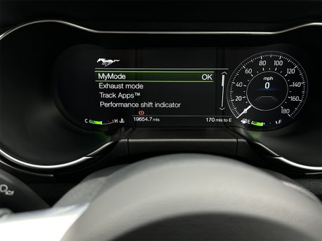 Ford Mustang BULLITT 79