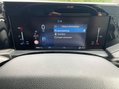 Ford Transit Custom 2.0 300 EcoBlue Limited Crew Van Auto L2 H1 Euro 6 (s/s) 5dr 45
