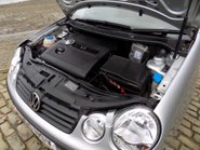 Volkswagen Polo TWIST Automatic 25
