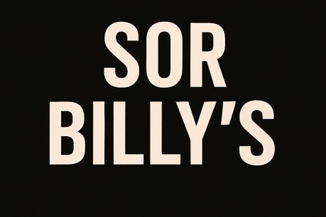 BMW S1000R S 1000 R Sport 1