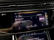 Audi Q8 3.0 TFSI V6 55 Black Edition SUV 5dr Petrol Tiptronic quattro Euro 6 (s/s) 16