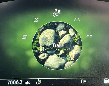 Ford Puma 1.0 PUMA ST-LINE MHEV 5dr 30