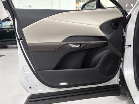 Lexus RX 450H+ PREMIUM PLUS 39