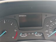 Ford Focus EcoBlue Zetec 31