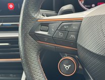 Cupra Formentor 2.0 TSI VZ2 SUV 5dr Petrol DSG 4Drive Euro 6 (s/s) 14