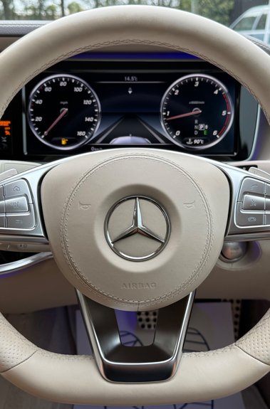 Mercedes-Benz S Class S350 BLUETEC AMG LINE - 11 MERCEDES MAIN DEALER SERVICES - 2 OWNERS 