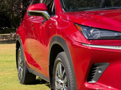 Lexus NX 300H LUXURY 8