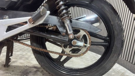 Yamaha YBR 125 2005 20K CARBED MODEL PROJECT LEARNER BIKE 125CC 13