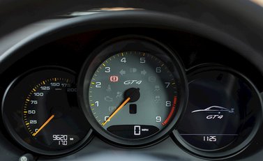 Porsche Cayman (981) GT4 16