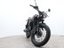 Mutt Mongrel 125 Pre-registered 12