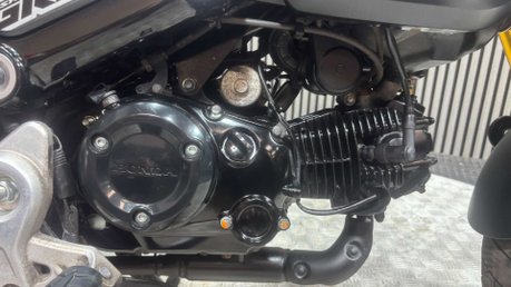 Honda MSX125 GROM 2021 ONLY 5K 1 OWNER NEW MOT MONKEY MINI BIKE 125CC 19