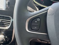 Renault Clio 0.9 TCe Iconic Hatchback 5dr Petrol Manual Euro 6 (s/s) (90 ps) 13