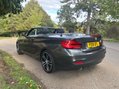 BMW 2 Series 218I M SPORT 8