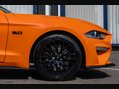 Ford Mustang 5.0 Mustang GT 2dr 6