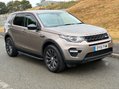 Land Rover Discovery Sport 2.2 Discovery Sport SE Tech SD4 Auto 4WD 5dr 1