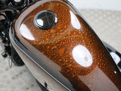Harley-Davidson Sportster Forty-Eight XL 1200 X FORTY EIGHT 15 29