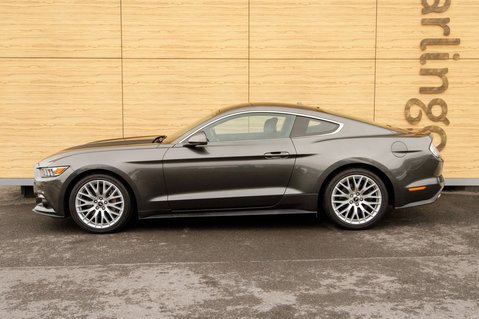 Ford Mustang ECOBOOST 13