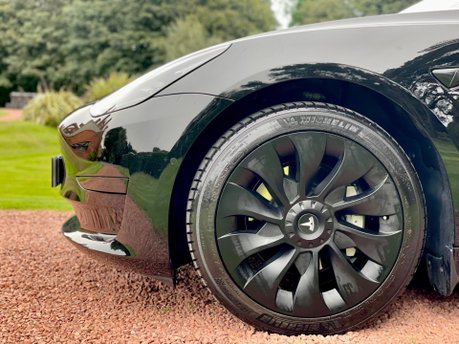 Tesla Model 3 STANDARD RANGE PLUS 8