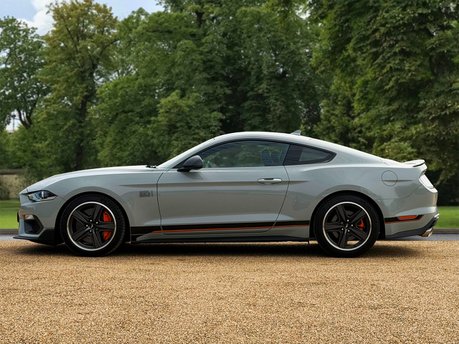 Ford Mustang MACH 1 8