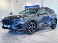 Ford Kuga 2.5h Duratec ST-Line X Edition CVT Euro 6 (s/s) 5dr 7