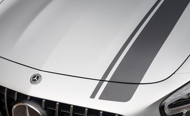 Mercedes-Benz AMG GT R GT R Pro 27