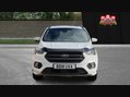 Ford Kuga ST-LINE X 5