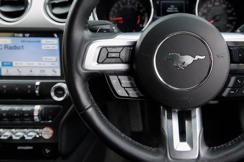Ford Mustang ECOBOOST 19
