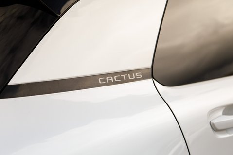 Citroen C4 Cactus PURETECH ORIGINS S/S 9