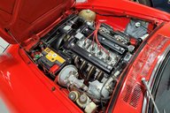Alfa Romeo Spider 1750 VELOCE 24