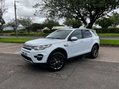 Land Rover Discovery Sport 2.2 Discovery Sport HSE SD4 Auto 4WD 5dr 24