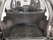 Ford Ecosport 1.0T EcoBoost GPF ST-Line SUV 5dr Petrol Manual Euro 6 (s/s) (125 ps) Air C 21