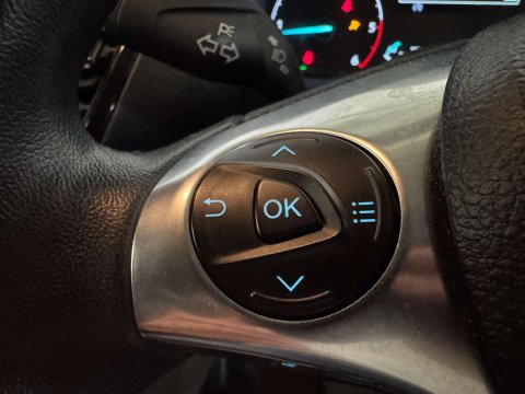 Ford Transit Connect 1.5 Transit Connect 250 Limited EcoBlue 14