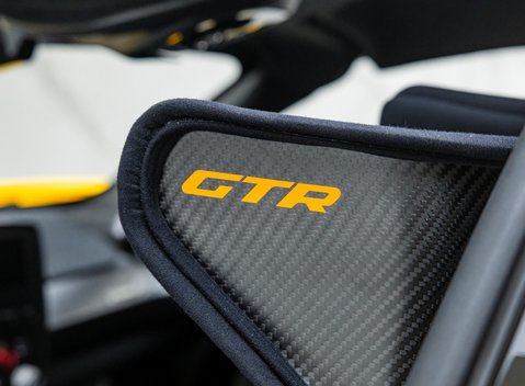 McLaren Senna GTR LM 17