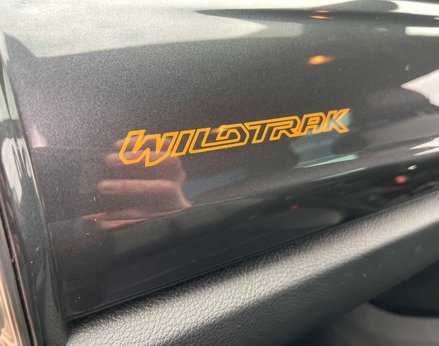 Ford Ranger 2.0 Ranger Wildtrak EcoBlue 4x4 Auto 4WD 73