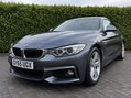 BMW 4 Series 2.0 420d M Sport Hatchback 5dr Diesel Manual xDrive Euro 6 (s/s) (190 ps) 4