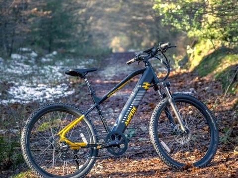Ampere Xtrail 29" 10ah E-Bike 11