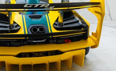 McLaren Senna GTR LM 44