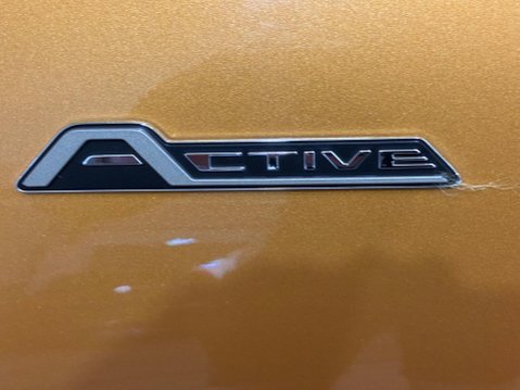 Ford Fiesta 1.0T EcoBoost Active B&O Play Euro 6 (s/s) 5dr 55