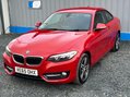 BMW 2 Series 1.5 218i Sport Euro 6 (s/s) 2dr 31