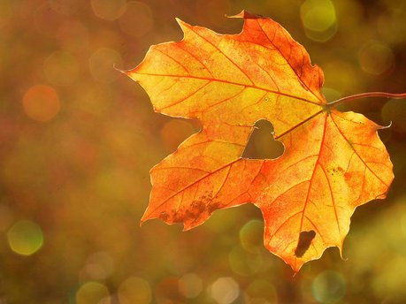 What's on in West Sussex this Autumn