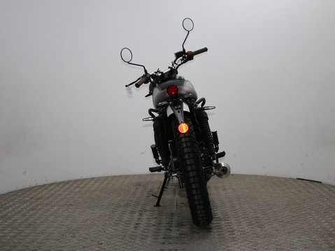 Mutt Mastiff 125 Pre-registered 5