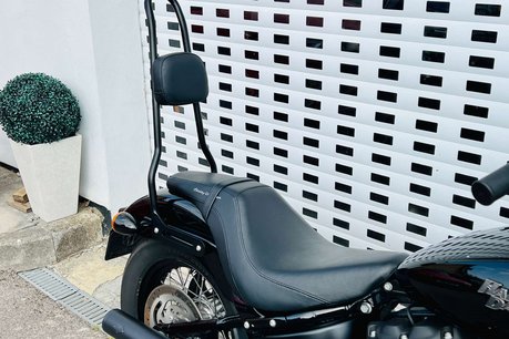 Harley-Davidson Street Dyna Street Bob 1745 13