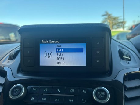 Ford Transit Connect 240 LIMITED TDCI 19