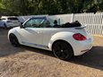 Volkswagen Beetle SPORT TDI BLUEMOTION TECHNOLOGY DSG 4