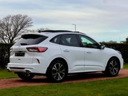 Ford Kuga ST-LINE X EDITION 15