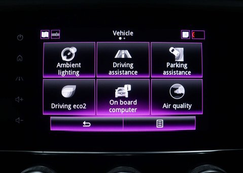 Renault Kadjar 1.3 TCe Iconic SUV 5dr Petrol EDC Euro 6 (s/s) (140 ps) 29