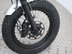 Mutt Akita 125 Pre-registered 23