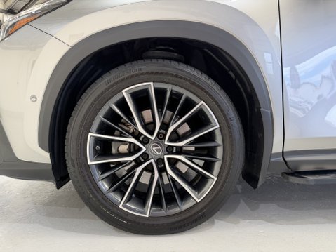 Lexus NX 450H PLUS TAKUMI 19